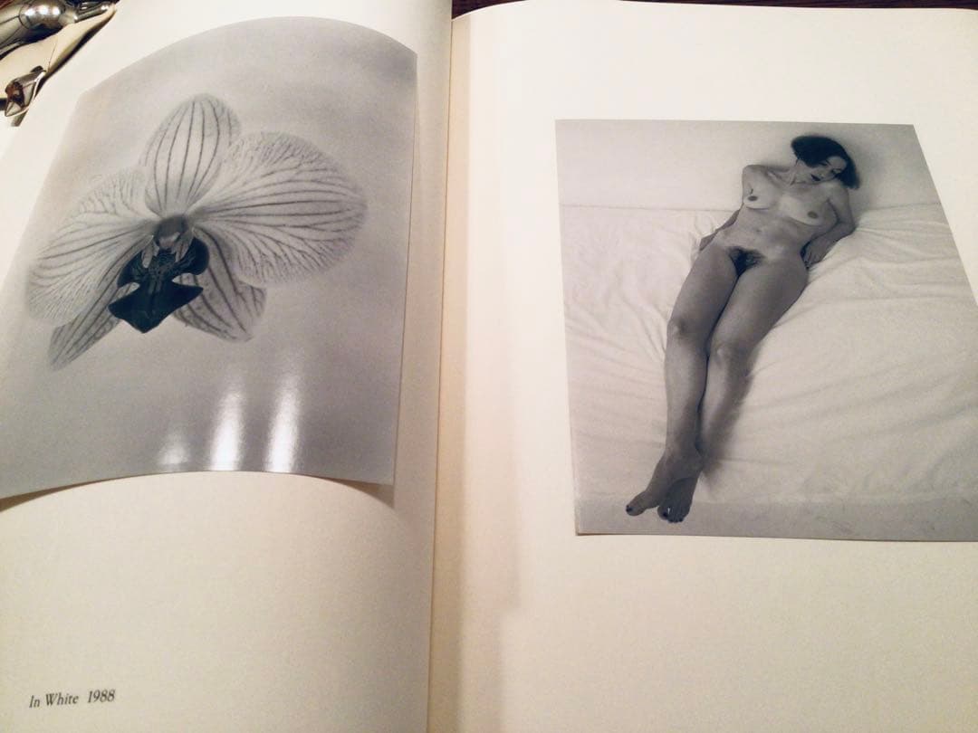 ⭕️絶版写真集⭕️写真家 上田義彦⭕️INTO THE SILENT LAND⭕️限定