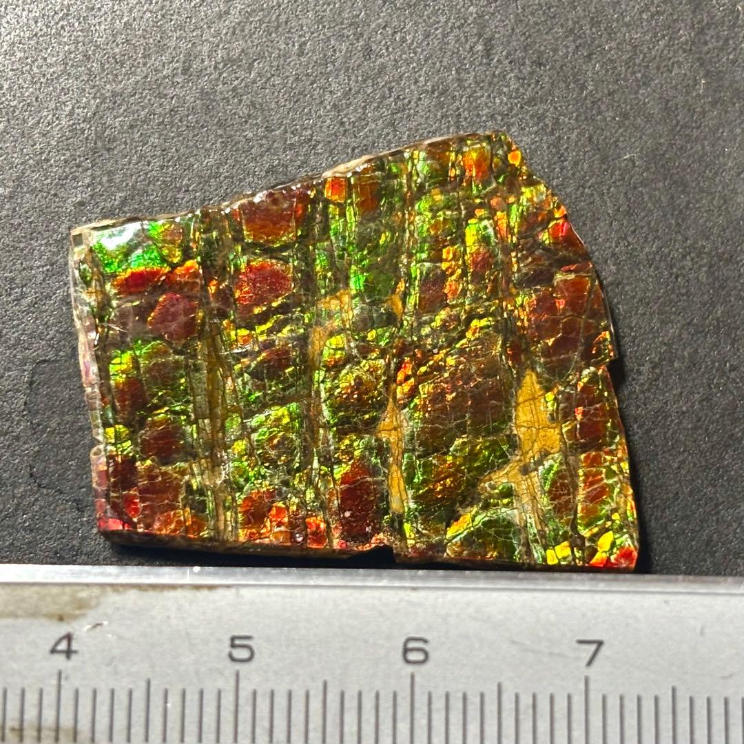 カナダ産 アンモライト 樹脂スタビライズ加工 天然宝石 化石 標本 両面遊色あり