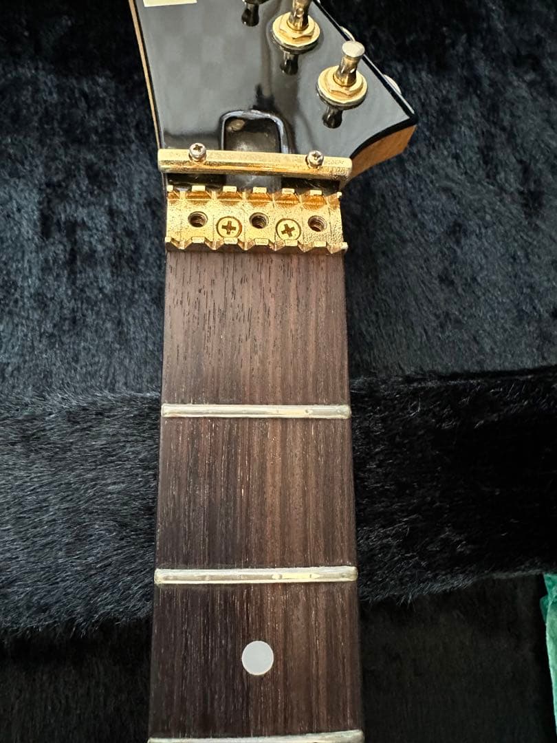 必読！ESP エレキギター ランディローズＶ EMG