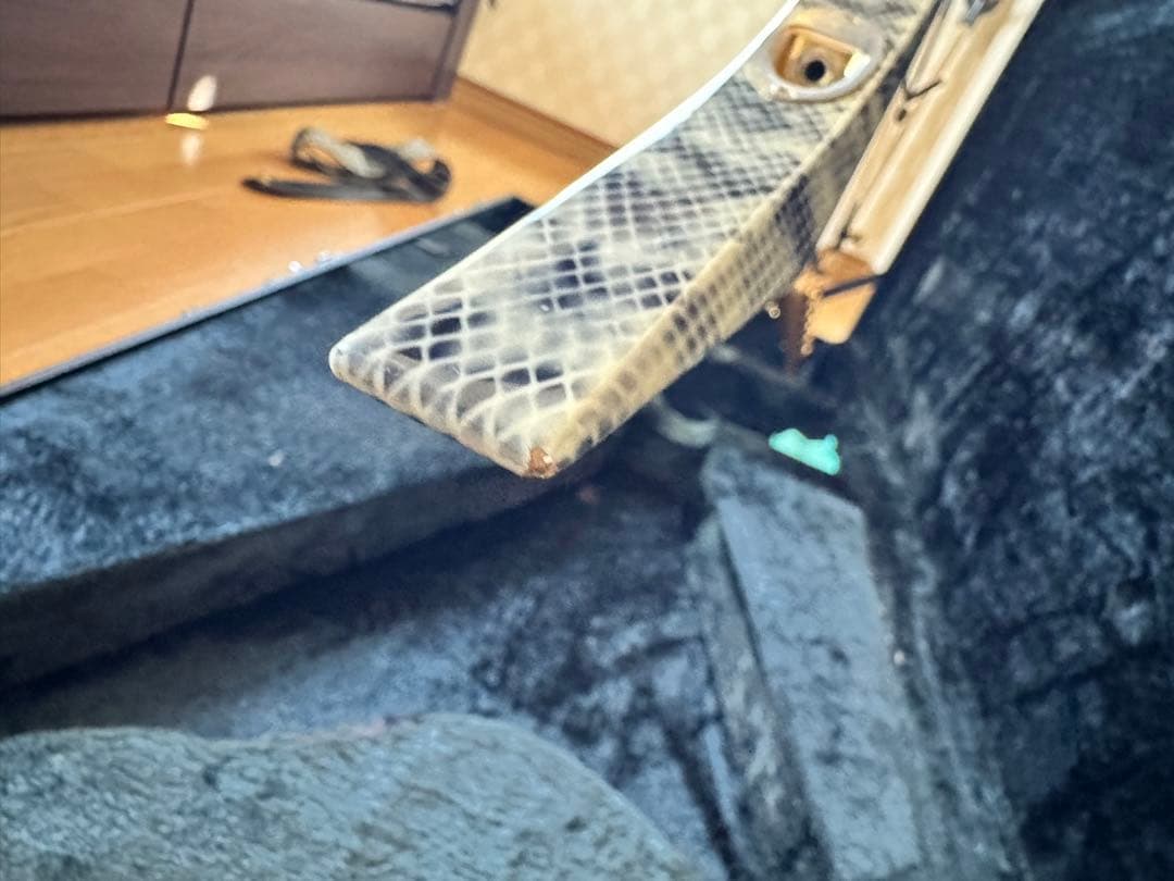 必読！ESP エレキギター ランディローズＶ EMG