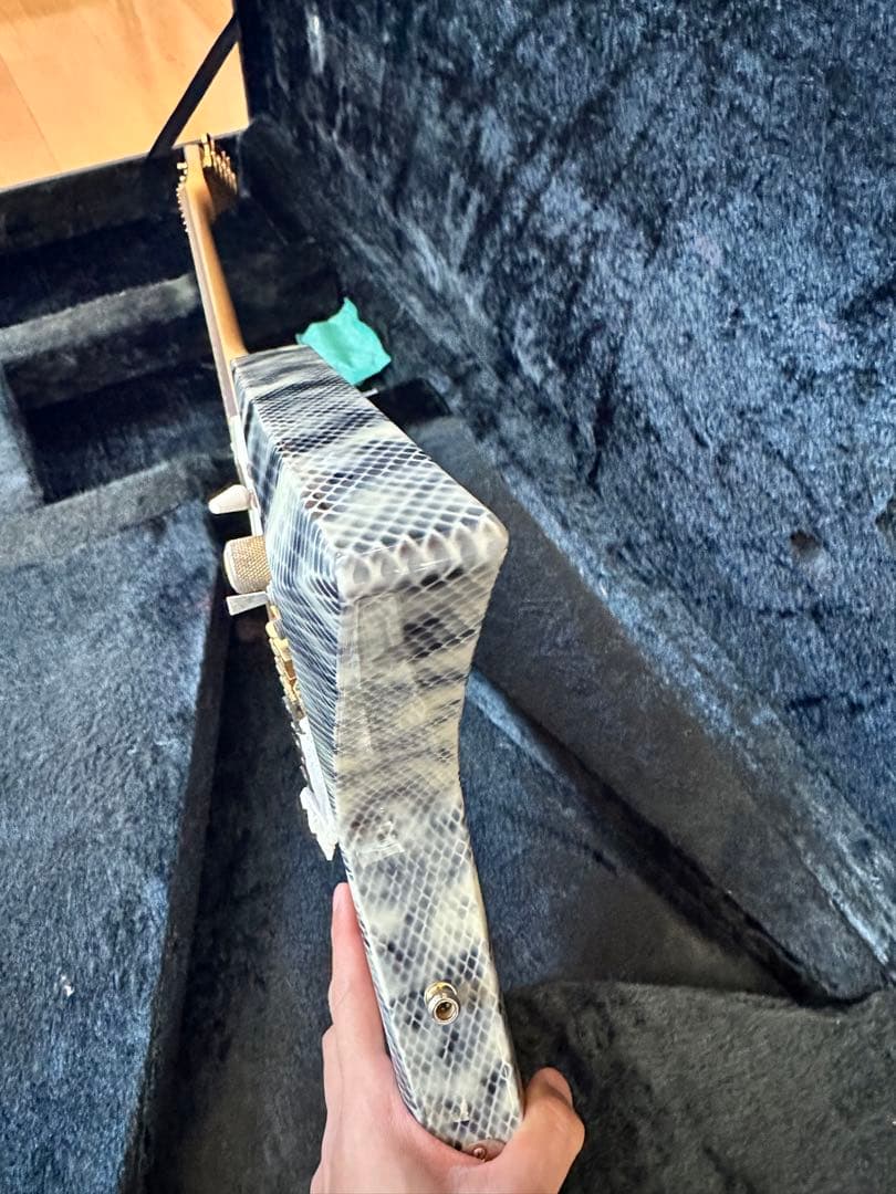 必読！ESP エレキギター ランディローズＶ EMG