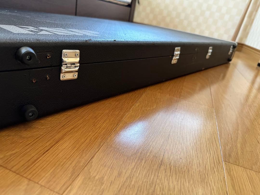 必読！ESP エレキギター ランディローズＶ EMG