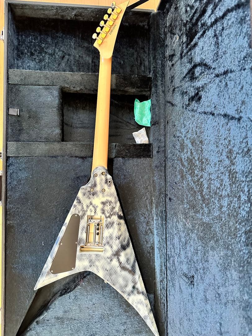 必読！ESP エレキギター ランディローズＶ EMG