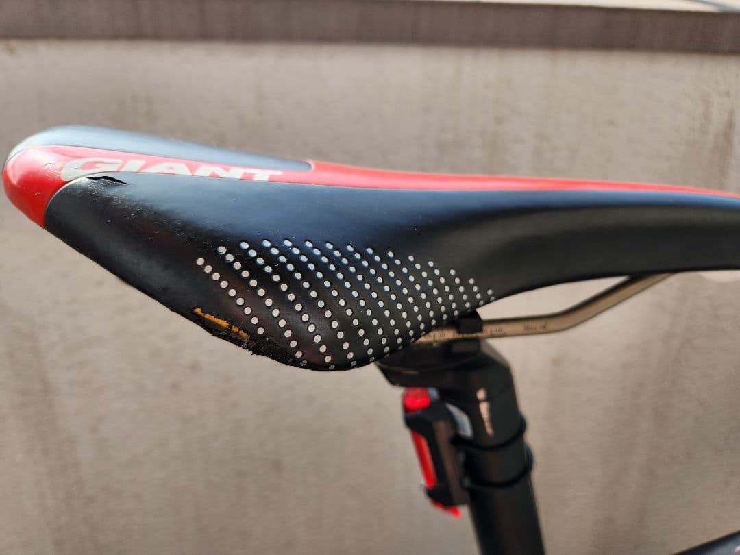 Giant TCR (引き取り希望)