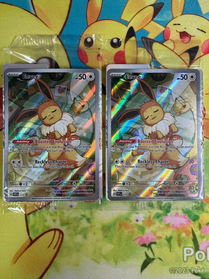 イーブイ AR プロモ 海外版 英語版 海外限定イラスト 未開封 10枚