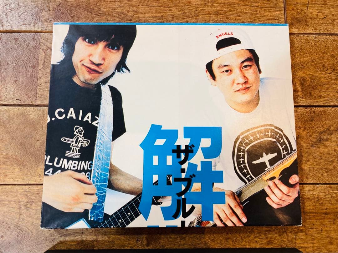 THE BLUE HEARTS ブルーハーツ　解散アルバム　ポスターパネル