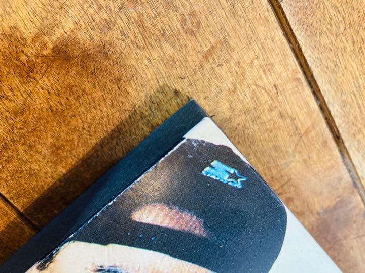 THE BLUE HEARTS ブルーハーツ　解散アルバム　ポスターパネル