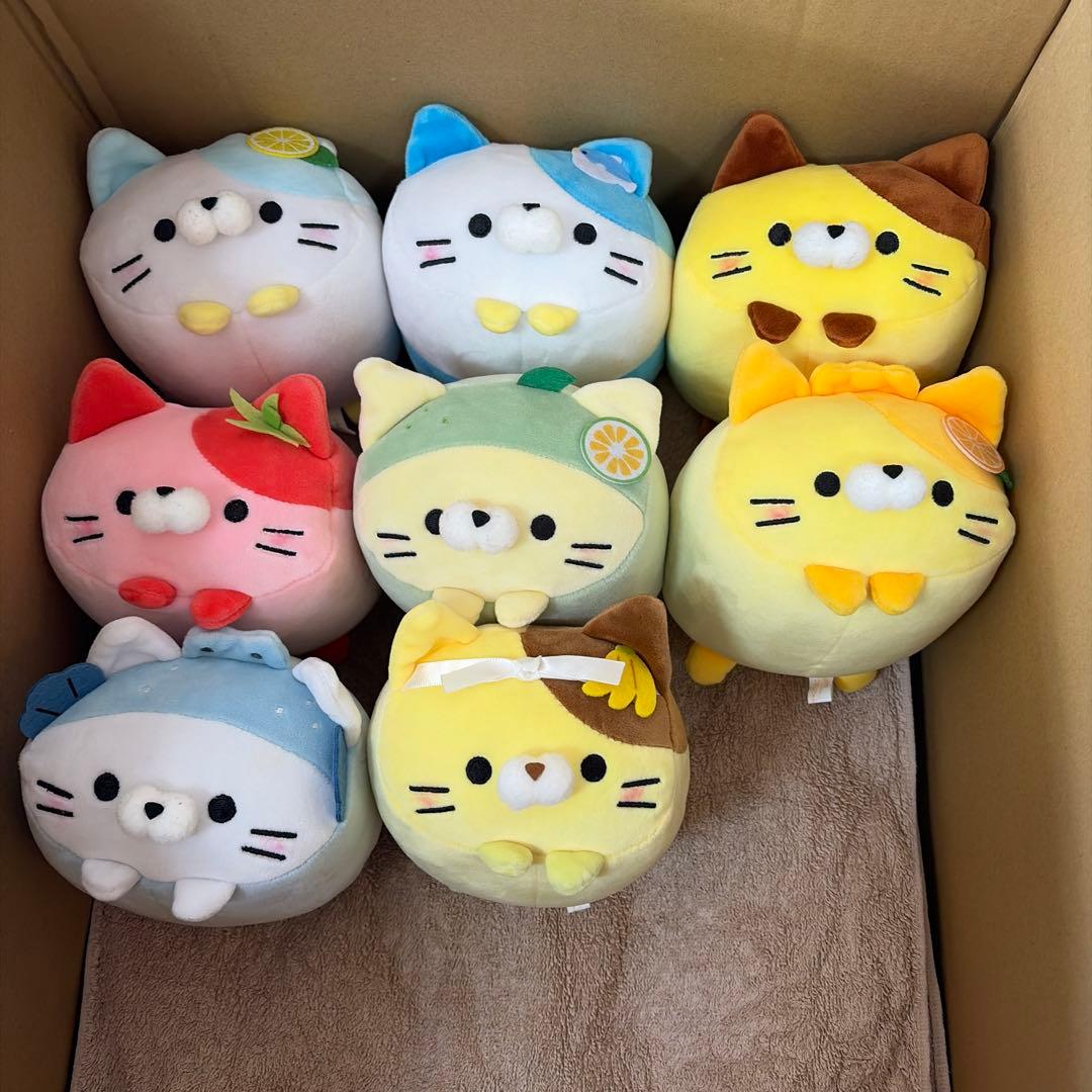 もちふわころころにゃんこ他　計40個