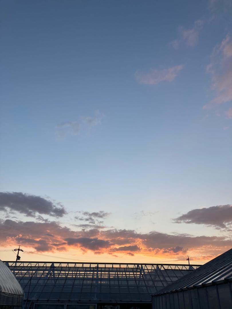 こだわりのお米　つきあかり　令和7年度産　精米10キロ　生産者直送