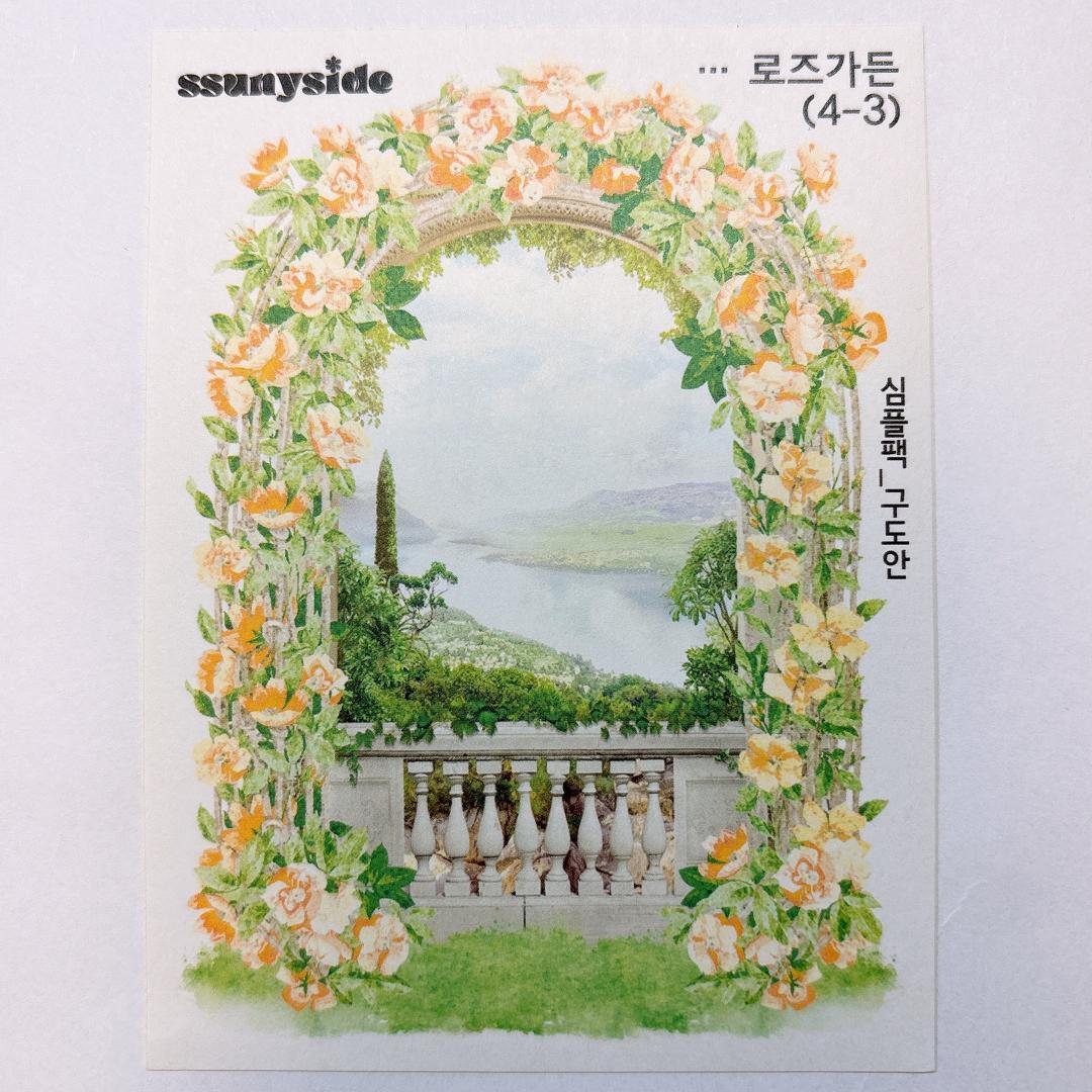 S233.装飾ステッカー　韓国作家　ssunyside(黒いたぬき)　バラ売り〇