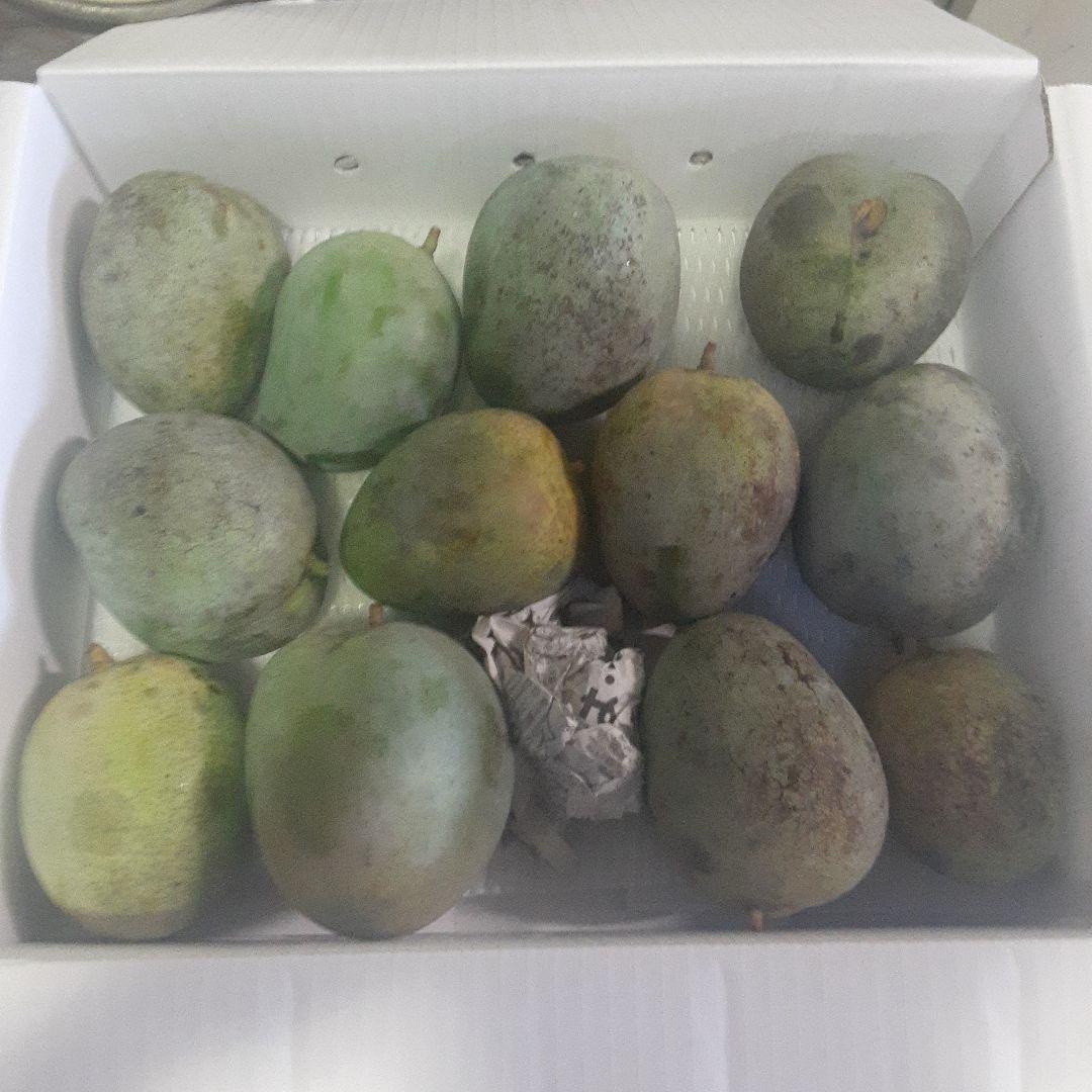 沖縄県産♪キーツマンゴー6㎏②