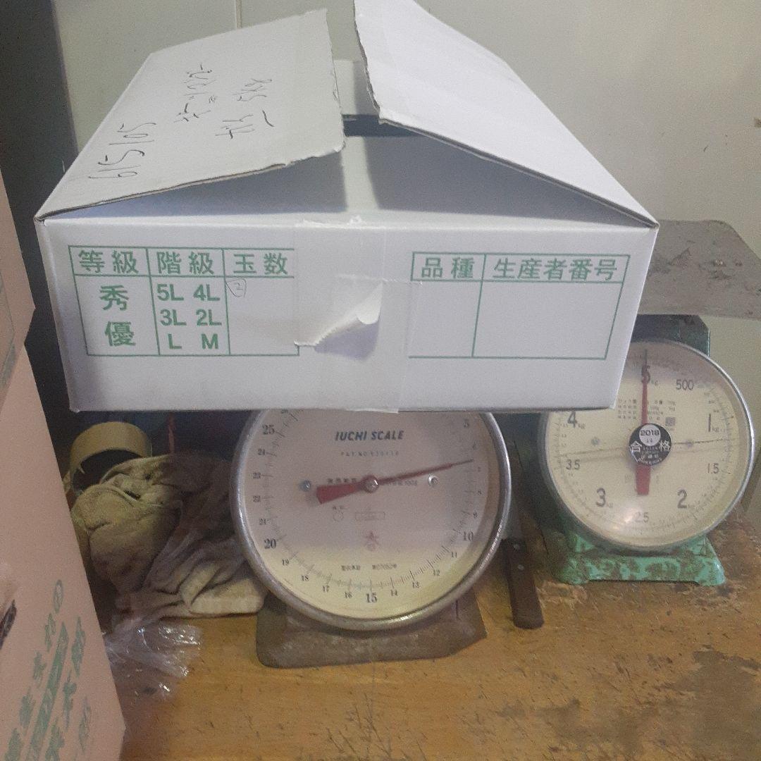 沖縄県産♪キーツマンゴー6㎏②