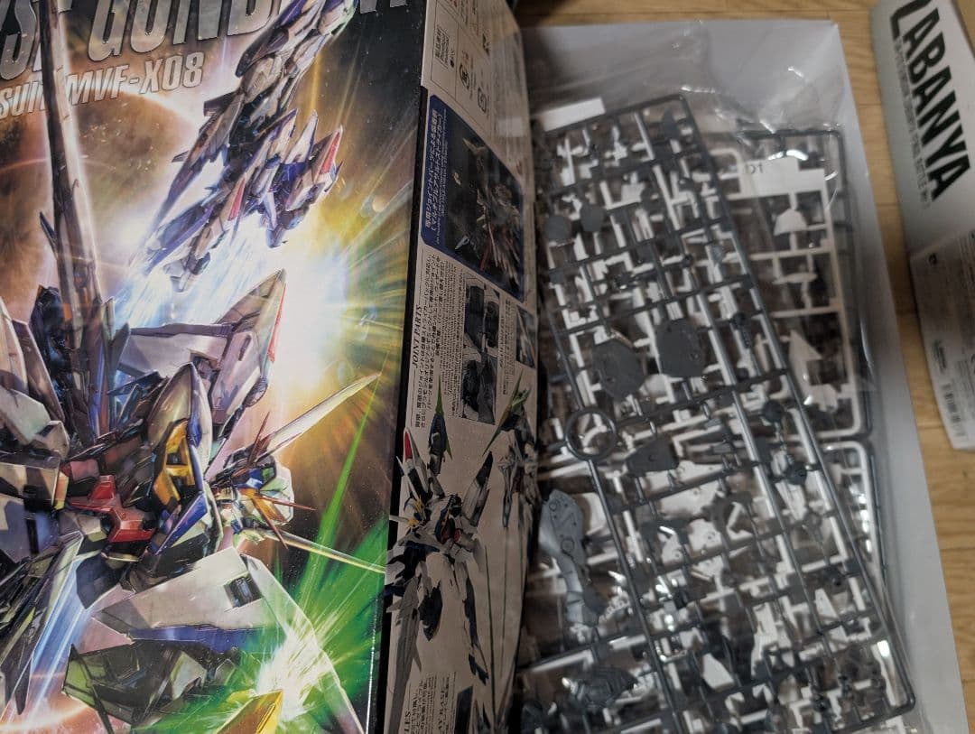 MG 1/100 エクリプスガンダム&マニューバストライカーセット