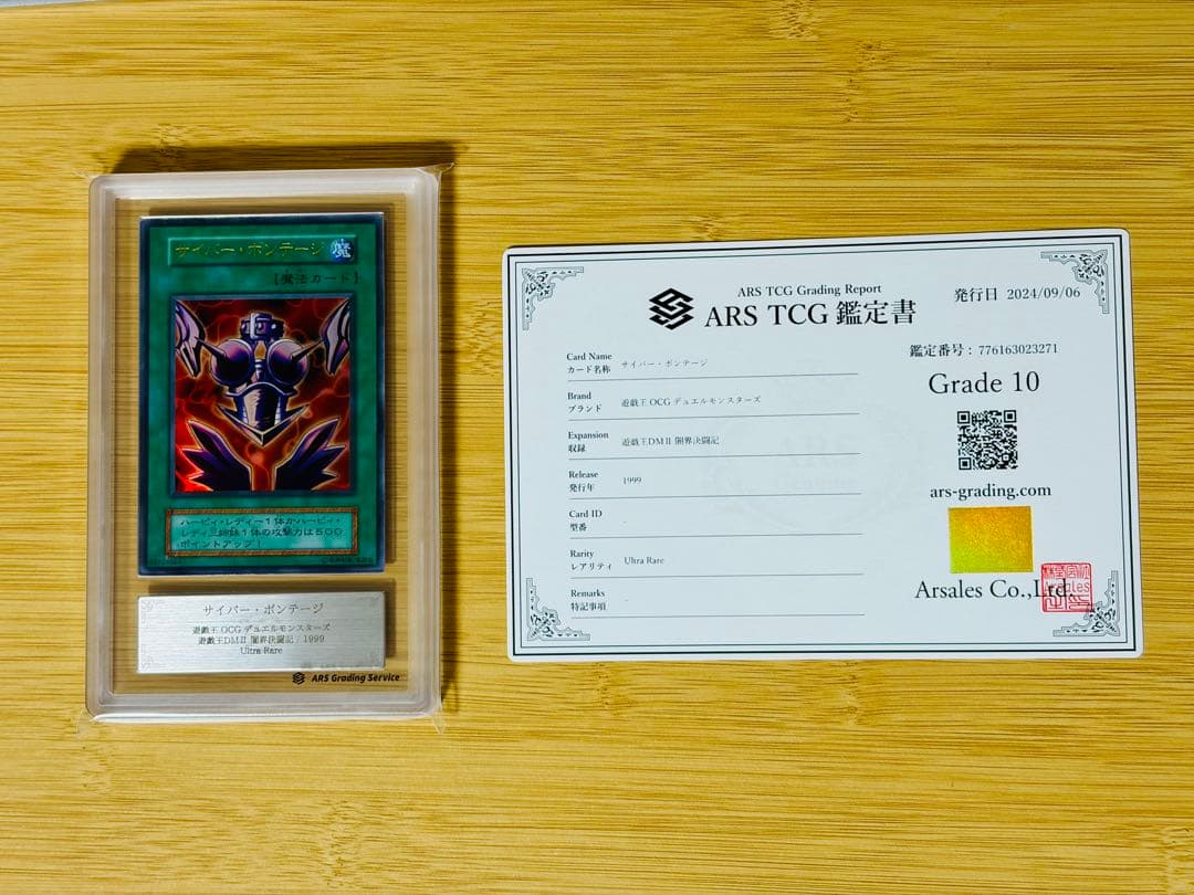 【ARS10】サイバー・ボンテージ　闇界決闘記　ハーピィ　初期