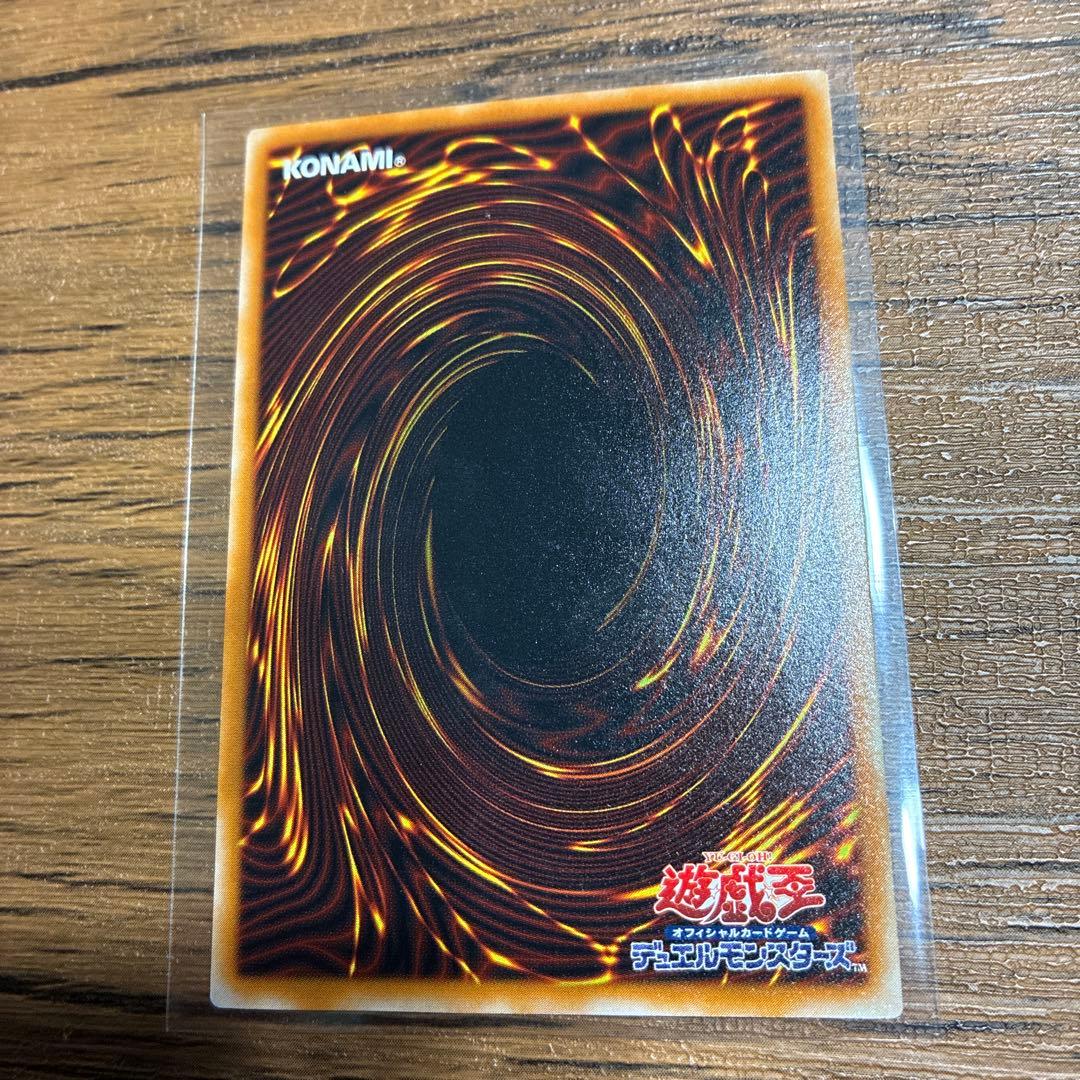 ブラックデーモンズドラゴン　レリーフ　遊戯王