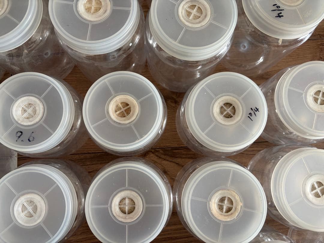 カブトムシ　虫　飼育ケース　飼育ボトル　まとめ売り　パネルヒーター