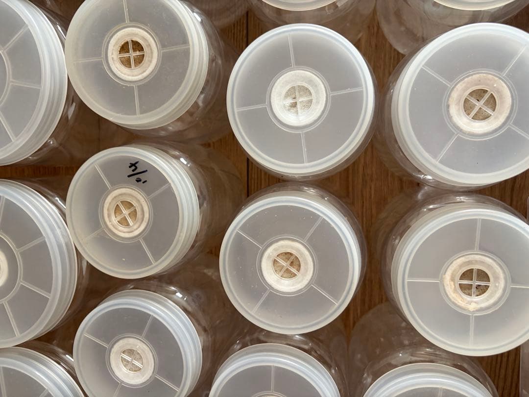 カブトムシ　虫　飼育ケース　飼育ボトル　まとめ売り　パネルヒーター