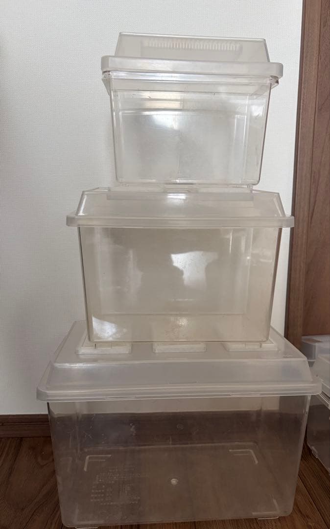 カブトムシ　虫　飼育ケース　飼育ボトル　まとめ売り　パネルヒーター