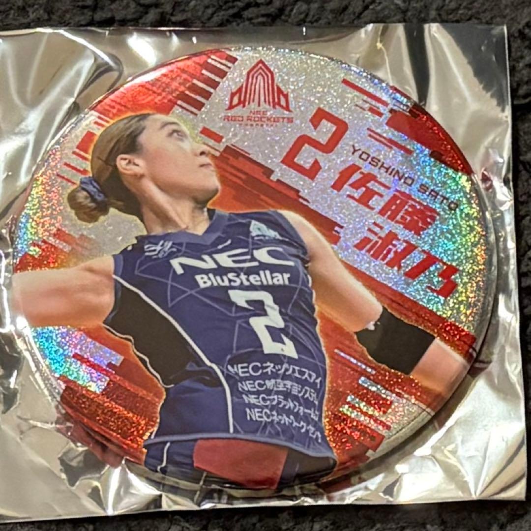け*る様 川崎NECレッドロケッツ 佐藤淑乃 非売品　当たり　BIG 缶バッジ