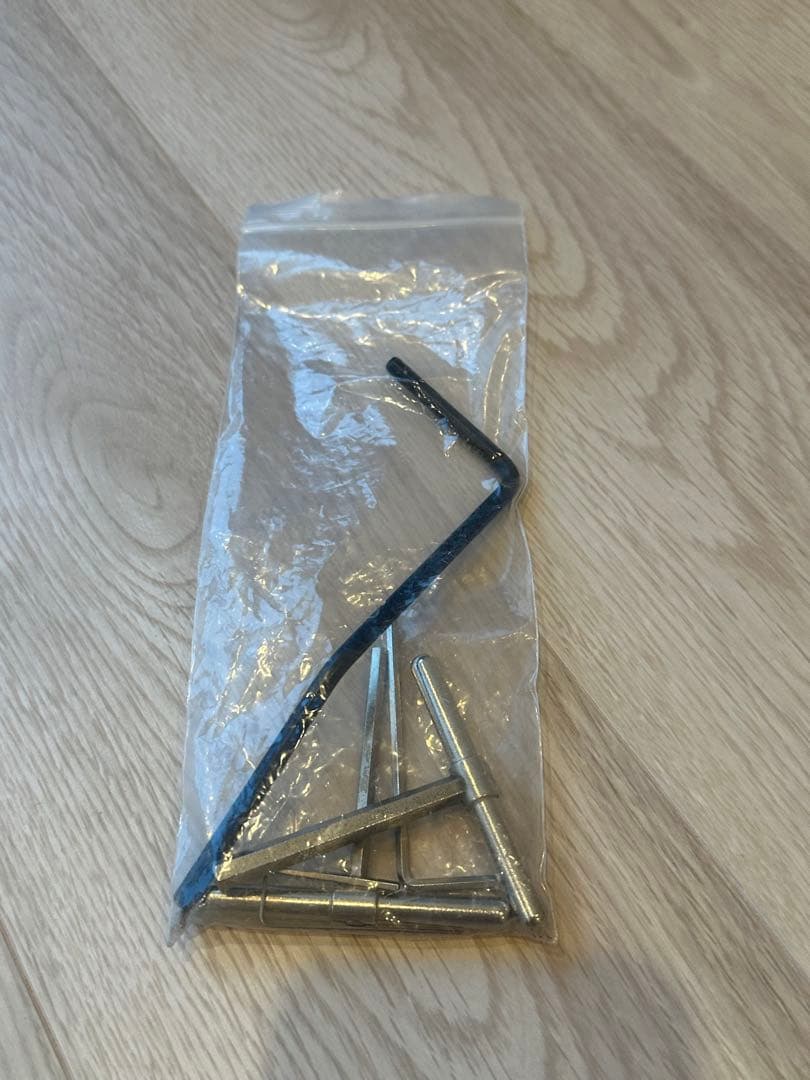 Strandberg エレキギター ナチュラル