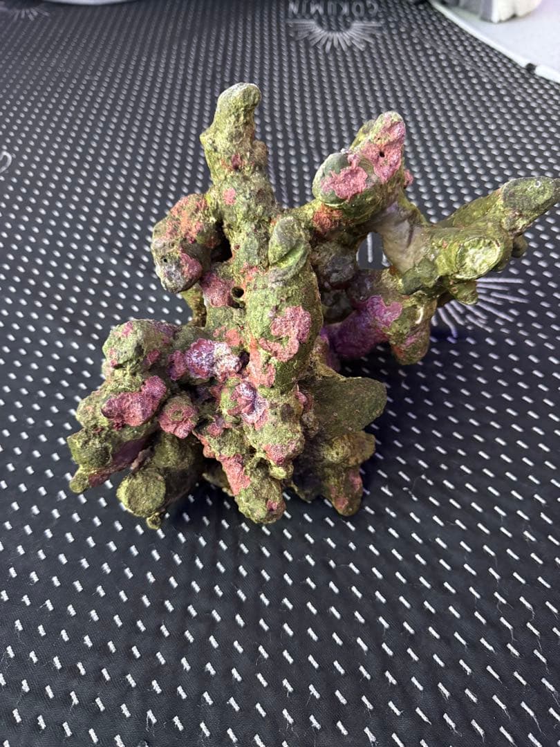 ライブロック　デスロック