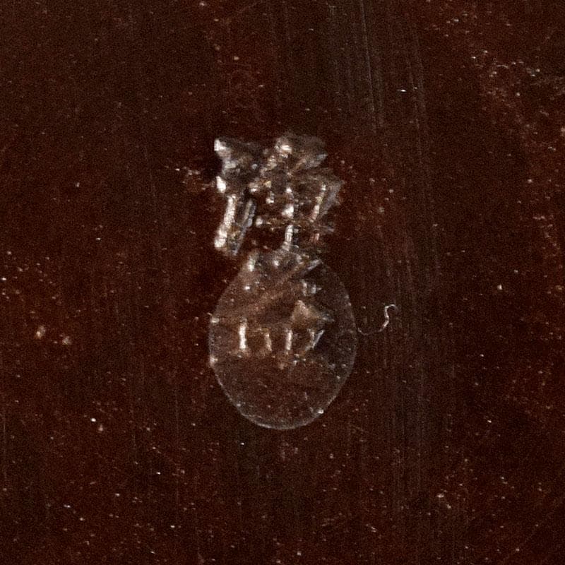 茶道具　中川浄益造　銅製　建水　共箱　M　R4893