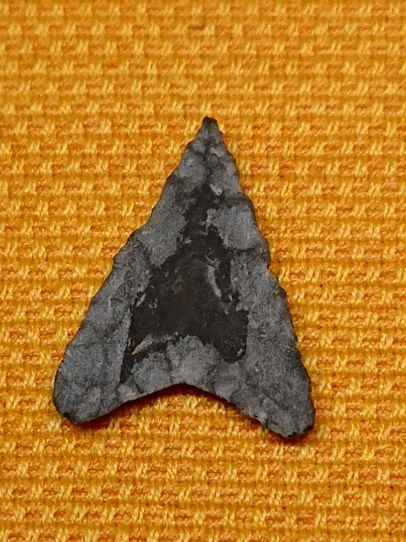 石鏃　矢じり　黒曜石　石器時代　置物　インテリア　工芸品　美術品　A1730