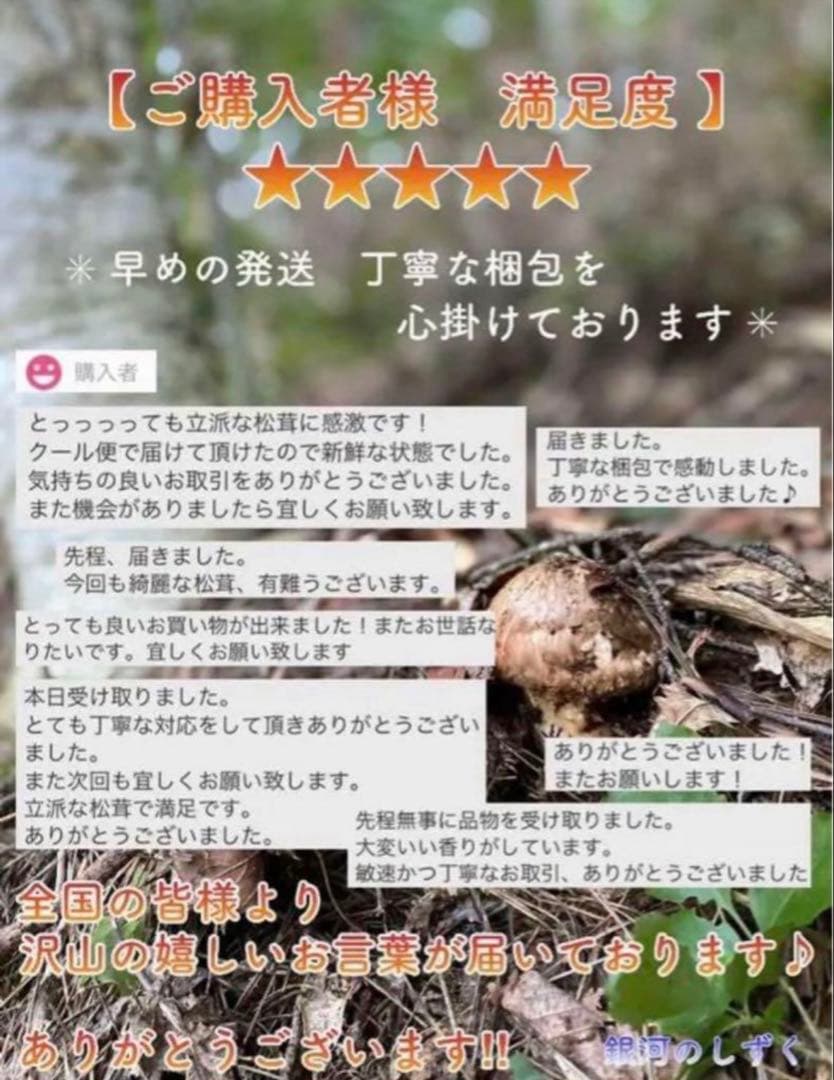 【今期最終‼︎ 希少品‼︎ 開き厳選1本 200g】本日採れ‼︎ 松茸◆クール便発送◆