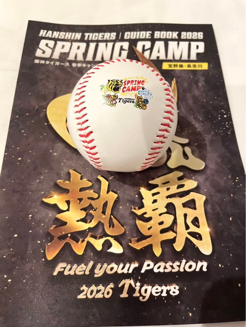 阪神タイガース 立石正広 直筆サインボール 2026沖縄キャンプ限定球