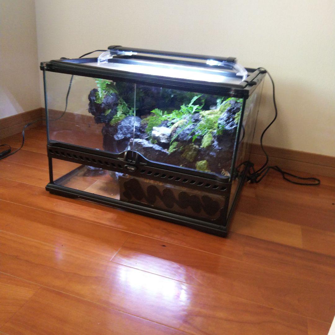 【受注生産】滝のあるアクアテラリウム　グラステラリウム 4530イモリウム