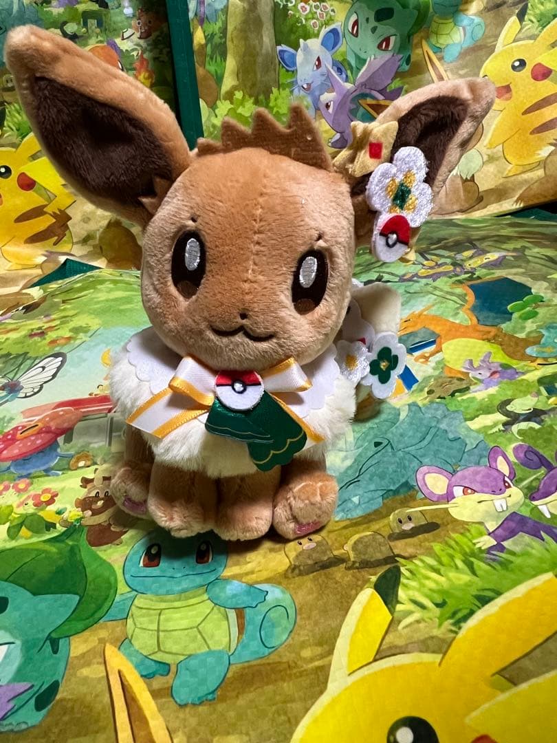 ポケパークカントー　 ショップ　限定 イーブイ　ぬいぐるみ5体セット