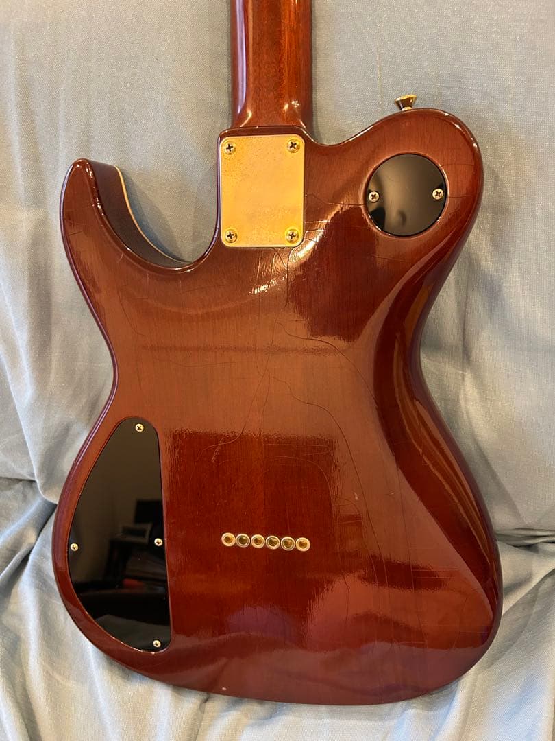 DON GROSH GUITAR ＃２１８