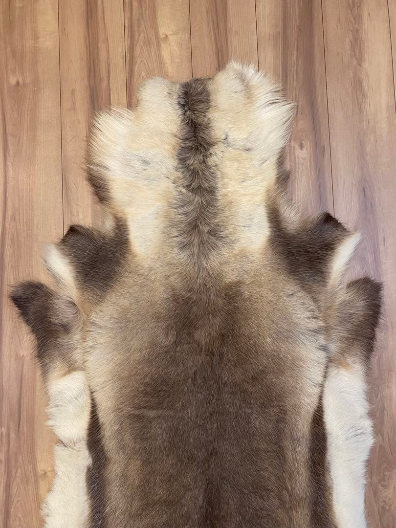 トナカイ　ファー　毛皮　ビッグサイズ　希少