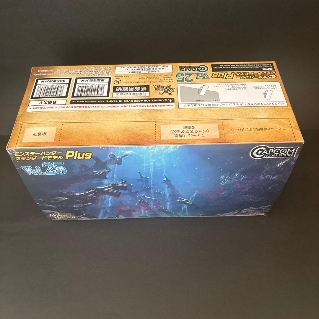 スタンダードモデル　plus vol.25