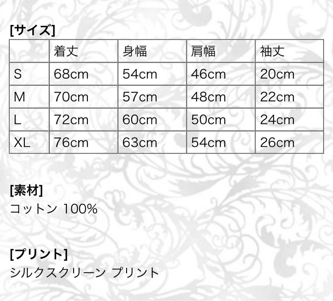 HYDE x 上條淳士　コラボレーションTシャツ GAIN アートプリントT