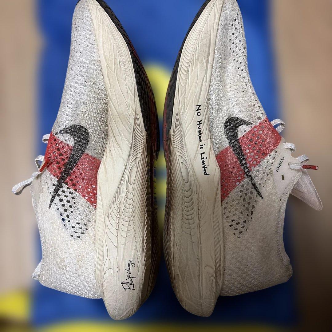 ヴェイパーフライ3 27.5cm