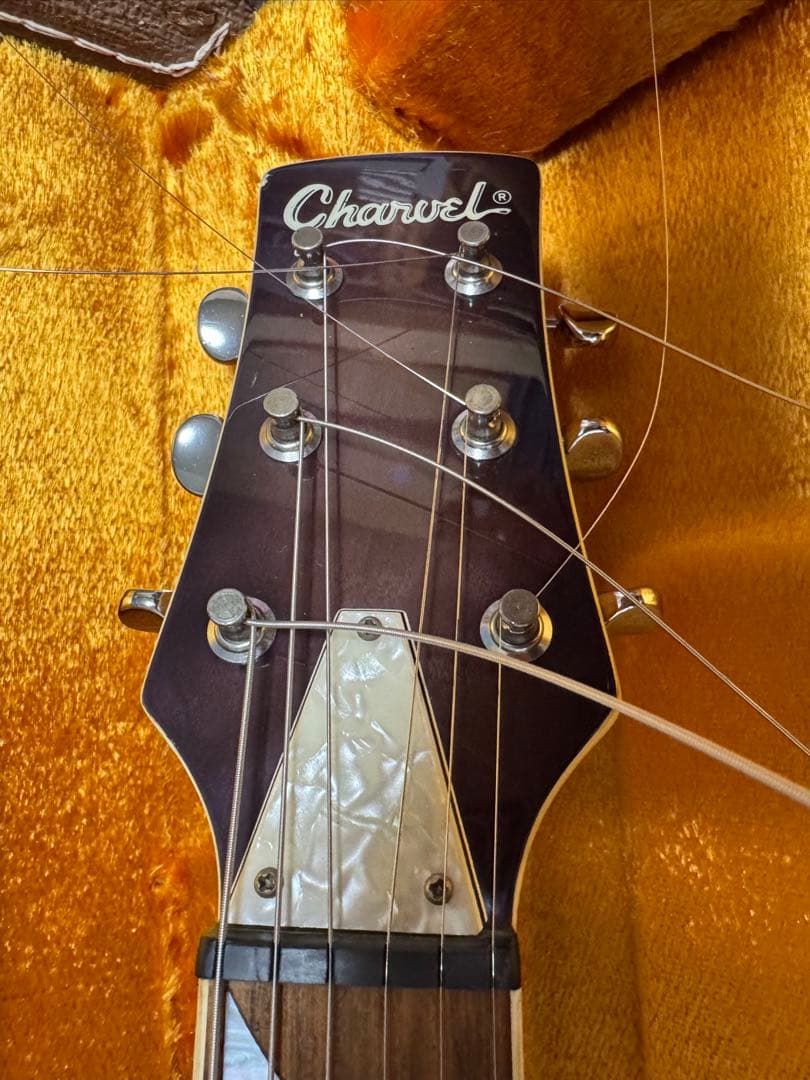 シャーベル　サーフキャスター　ビザール系