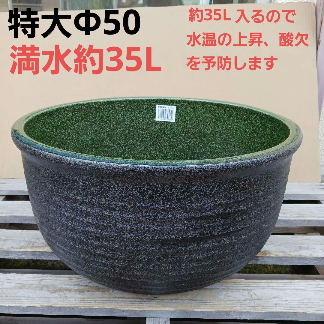 新品　∅50　陶器睡蓮鉢　特大　メダカ鉢　難有　エメラルドグリーン　緑黒　LBK