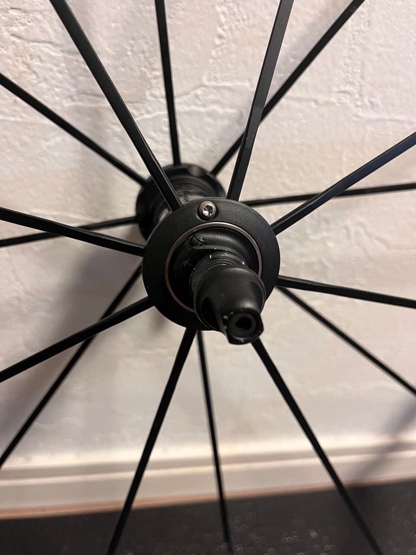 ワカちゃん　Campagnplo シャマルウルトラ