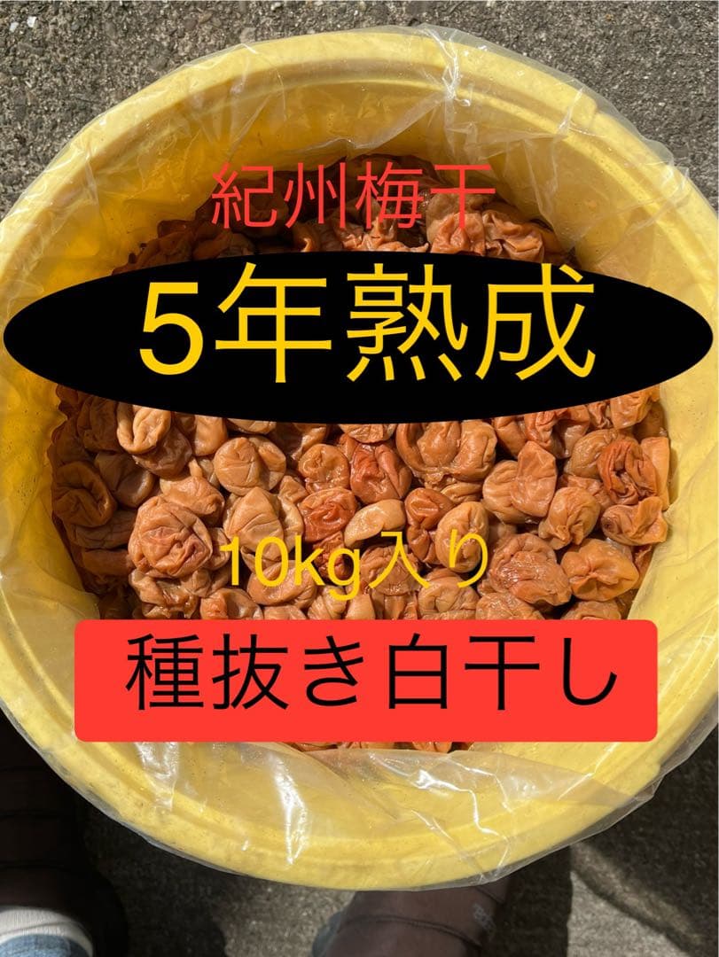 紀州 5年熟成 種抜き白干し梅 10kg