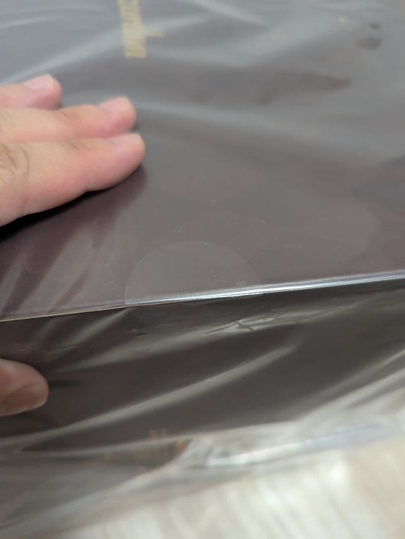 フィギュア ダンデ＆リザードン