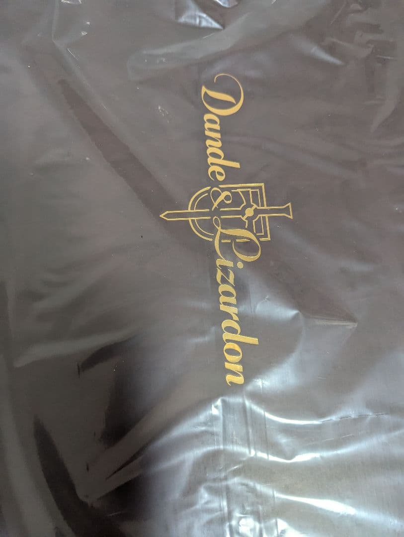 フィギュア ダンデ＆リザードン