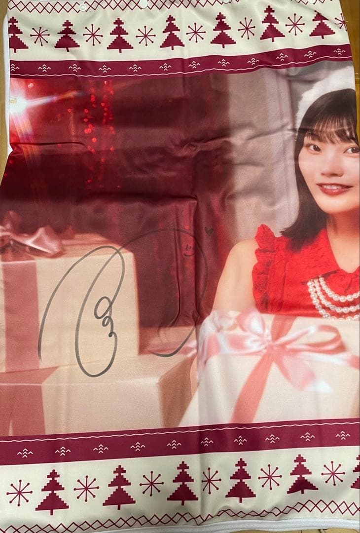 乃木坂46 フード付きクリスマスタオル　プリントカード各々直筆サイン　中西アルノ