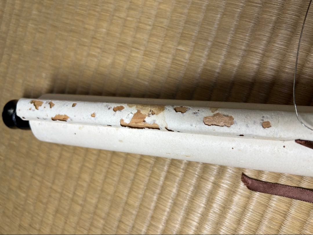 掛け軸　中国美術　牡丹