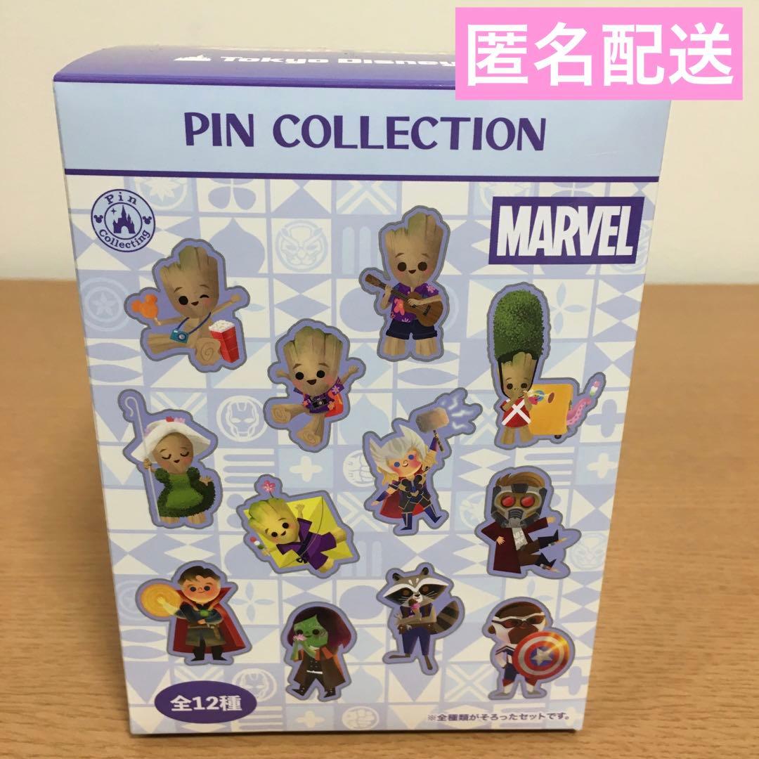 東京ディズニーリゾート　マーベル　スモワ　グルート　ピンバッジ　ピンコレクション