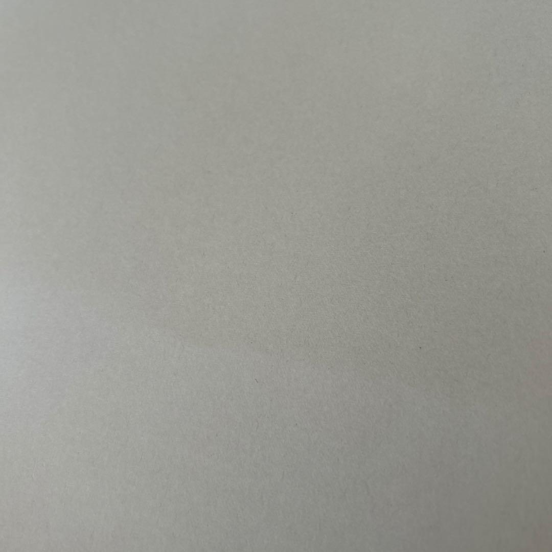 純銀メダル　平成28年8月8日記念