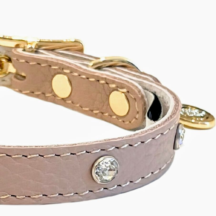 バディーベルト　ハーネス・カラー・リードの3点 バディベルト　BUDDYBELT