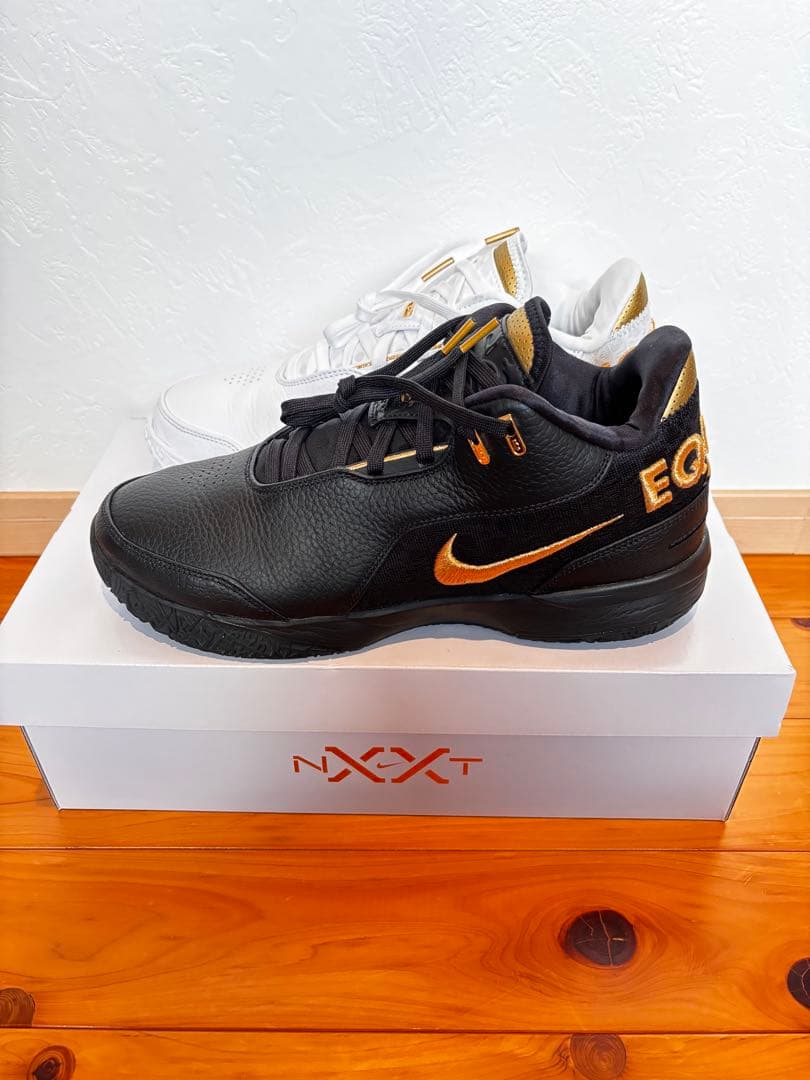 ナイキ レブロン NXXT ジェン AMPD エクイティ