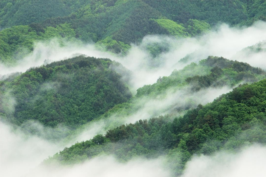 信州の山と霧の風景写真額装（A3判。オリジナルフォト。ハクバ製フレーム）
