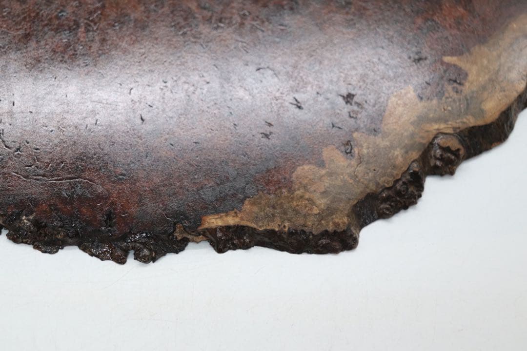 瘿木台 茶台　かりん　茶道具　送料込み250106